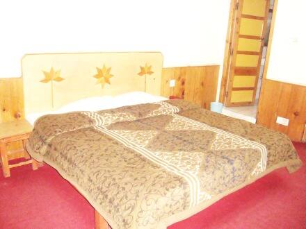 Hotel Woodlines, Manali 3